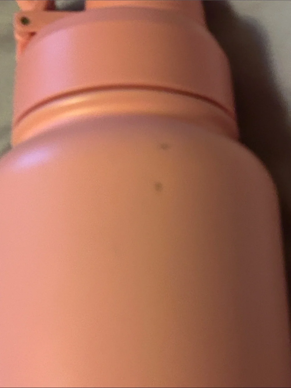 Peach Pink Stainless Steel Travel Water Bottle with Flip Lid